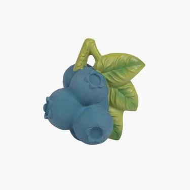 Jerry the Blueberry